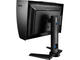 Монитори BenQ PG2401PT