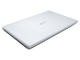 Лаптопи Acer Aspire V5-531G (сив)