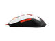 Мишки SteelSeries Sensei RAW Guild Wars 2