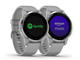 Смарт часовници Garmin Vivoactive 4S Powder Gray/Silver