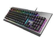 Клавиатури Genesis Rhod 500 RGB Backlight US Layout