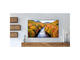 Телевизори Samsung 55AU7172