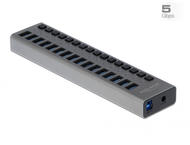 USB Хъб Delock външен SuperSpeed USB хъб с 16 порта + превключвател