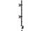 Стойки и маси NewStar Neomounts FPMA-D550DVBLACK