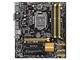 Дънни платки ASUS Q87M-E
