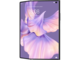 Смартфони Huawei Mate Xs 2, Black