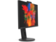 Монитори Fujitsu P2410 TS CAM