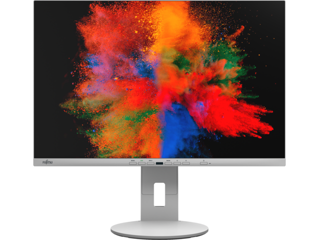 Монитори Fujitsu B2410 WE 