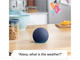 Колони Amazon Echo Dot 5, Blue