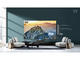 Телевизори Hisense 100L5F