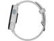 Смарт часовници Garmin Forerunner 165 Music - Mist grey/Whitestone
