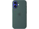 Калъфи Apple iPhone 16 Silicone Case with MagSafe - Lake Green (Seasonal)