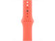 Каишки Apple Watch 40mm Sport Band: Tangerine Sport Band - M/L (SEASONAL)