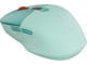 Мишки Canyon MW-26 CNS-CMSW26GR