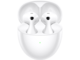 Бели