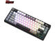 Клавиатури Royal Kludge RK L75 Knight Black, Cream switch