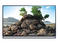 Телевизори Panasonic TX-55AS800E