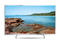 Телевизори Panasonic TX-42AS750E