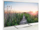 Телевизори Panasonic TX-47AS750E