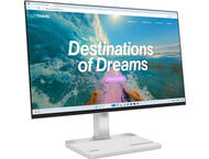 Монитори Lenovo ThinkVision L24D-4C
