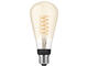 Smart Home Philips Hue ST72 – E27 smart bulb