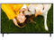 Телевизори LG 43UA751C0LA