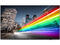 Телевизори Philips 43BFL2214/12
