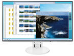 Употребявани монитори Eizo FlexScan EV2451 - втора употреба