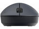 Мишки Xiaomi Wireless Mouse Lite 2, Black