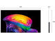 Телевизори LG OLED65C61LA