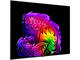 Телевизори LG OLED77G61LW