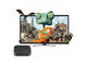 Плейъри MINIX™ NEO X5 mini