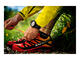 Смарт часовници Suunto Quest Yellow Running Pack