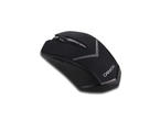 Мишки Canyon CNE-CMSW3