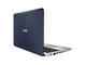 Лаптопи ASUS F501LB-DM005H