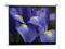 Екрани Elite Screen VMAX135XWV2 VMAX2 Series